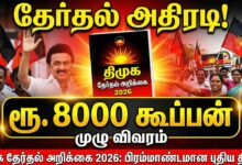 DMK Election Manifesto 8000 Coupon Scheme: ரூ 8000 கூப்பன் திட்டம் - முதல்வர் ஸ்டாலின் விளக்கம்