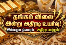 Gold rate today consecutive day price rise in Delhi and Chennai