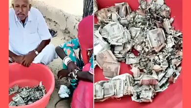 Rajasthan Farmer: நிலத்தில் புதைத்து வைத்த 5 லட்சம் ரூபாய்! கரையான்கள் தின்ற சோகம்!