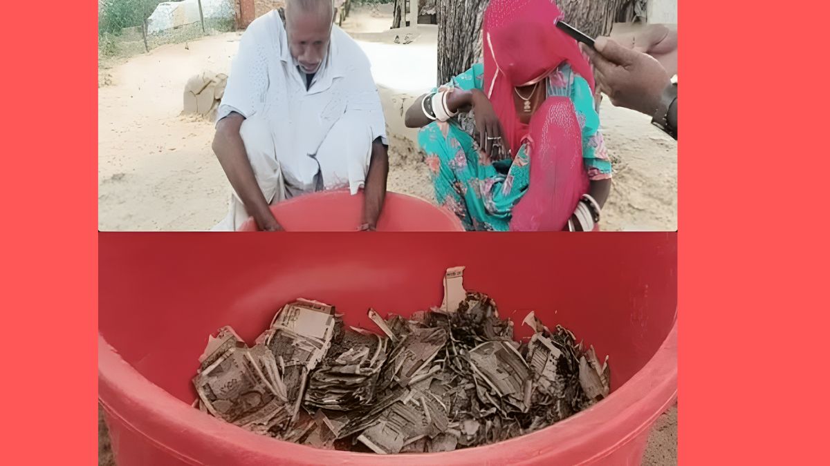 Rajasthan Farmer: நிலத்தில் புதைத்து வைத்த 5 லட்சம் ரூபாய்! கரையான்கள் தின்ற சோகம்! Rajasthan Farmer: நிலத்தில் புதைத்து வைத்த 5 லட்சம் ரூபாய்! கரையான்கள் தின்ற சோகம்!